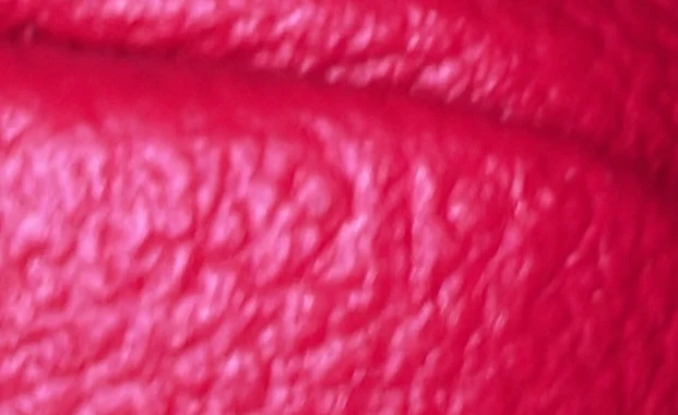 Cosmetic Pouch Damier - Image 7