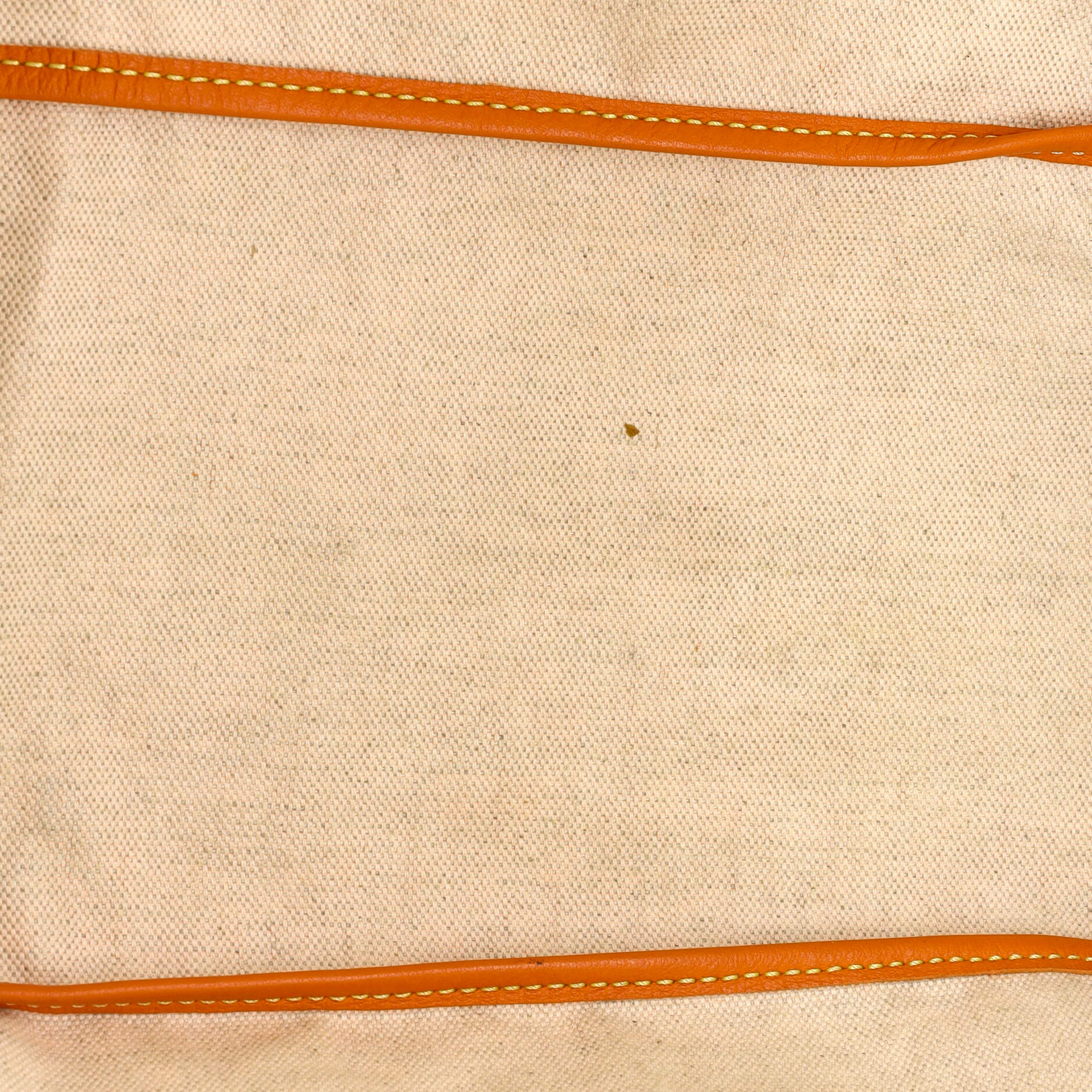 Saint Louis Tote Coated Canvas PM - Image 6