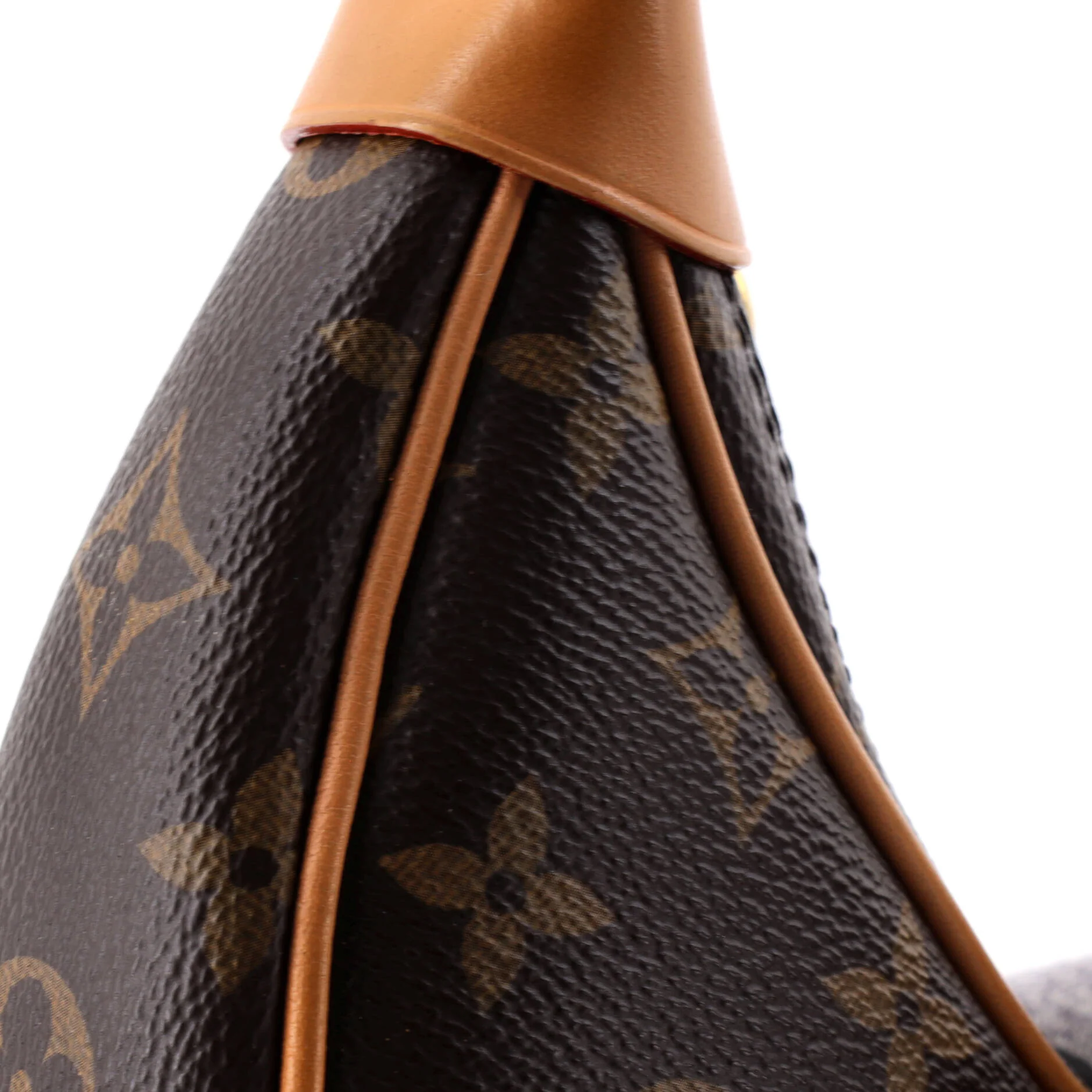 Loop Handbag Monogram Canvas - Image 6